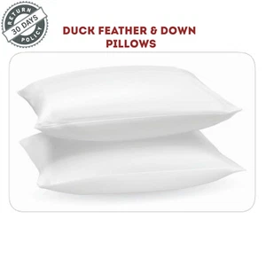 Duck Feather & Down Pillows Extra Filled Hotel Quality White Bed Pillow Pack 2,4 - Picture 1 of 4