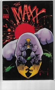 THE MAXX 1 2 3 4 5 6 8 10 20 24 25 26 27 ~ YOU PICK THE ISSUE / Sam Kieth - Picture 1 of 14