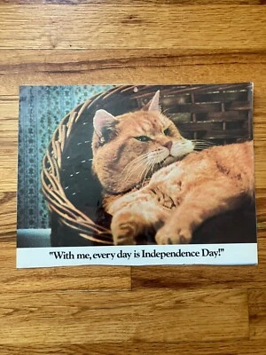 RARE Vintage 1978 Morris the Cat 9-Lives Funny Laminated Ad Poster 8.5" x 11" - Image 1 of 2