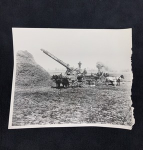 Frank Shields Threshing With Rumely Engine Lexington Nebraska 1904 Horse Carrage