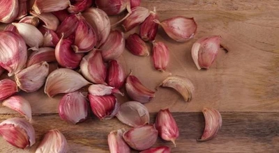 50 SEMI DI AGLIO ROSSO -  50 SEMI +OMAGGIO - SPEDIZIONE GRATUITA - Immagine 1 di 3