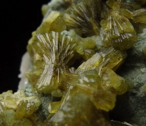 EPIDOTE fan crystals & BYSSOLITE & QUARTZ - Morocco - ATLAS Mts. IMILCHIL /pm065 - Picture 1 of 19
