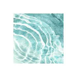 Stampa su Tela su Carta Poster o Quadro Olsen Maggie Aqua Ripple Reflection II - Picture 1 of 2