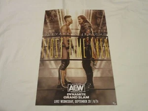 Póster dinamita AEW All Elite Wrestling Sammy Guevara Chris Jericho 12x18 - Imagen 1 de 11