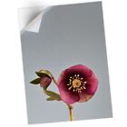 1 x Vinyl Sticker A1 - Hellebore Flower Orchid Tropical #21678