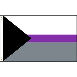 3x5 Demisexual Human Rights Polyester Flag LGBT Pride Outdoor Banner Pennant New - Picture 1 of 5