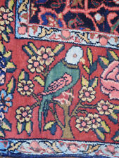 Antique Baktiarr rug Wonderful Pictorial Parrots carpet circa 1920s 