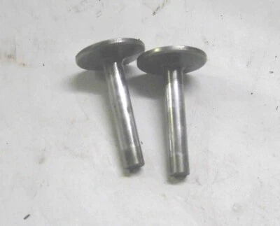 Juego de válvulas de golpeo de cilindro de motor Craftsman Engine 14350020 Foto 1 de 2