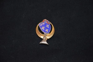 INSIGNE 5° REGIMENT DE SPAHIS ALGERIENS-5° RSA-ALGERIE-ARTHUS BERTRAND 1264 - Bild 1 von 2