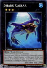 JOTL-EN049 Shark Caesar Common 1st Edition Mint Yu-Gi-Oh! Card