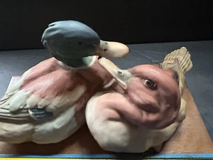 Giuseppe Armani signierte Capodimonte Porzellingenten Mallard - Bild 1 von 10