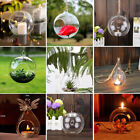6/12/34/36x Glass Tea Candle Holders Xmas Tea Light Holder Wedding Tealight Ball