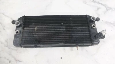 03 Radiador merodeador Suzuki VZ800 VZ 800 Foto 1 de 4