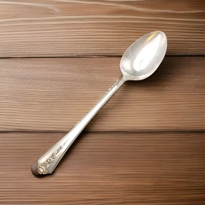 Cuchara cubiertos Holmes and Edwards SPRING GARDEN de colección Foto 1 de 4