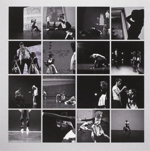 Peter Broderick Music for Falling from Trees (Vinyl) 12" Album (US IMPORT) - Image 1 of 1