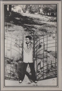 Elvis Presley at the Gates of Graceland Memphis TN. UNP Continental Postkarte - Bild 1 von 2