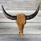 Large Murrah Buffalo Skull & Horns Biker Skeleton Wall Hanging Model Taxidermy