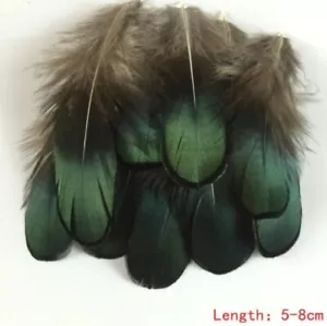 Shimmering Green Eyed Feathers 4cm - 8cm Pheasant Fly Craft Hat Arts Costume - Picture 1 of 1