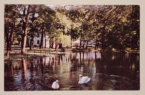 The Swans, Winona Lake Lagoon - Winona Lake, Indiana Postcard - Picture 1 of 2