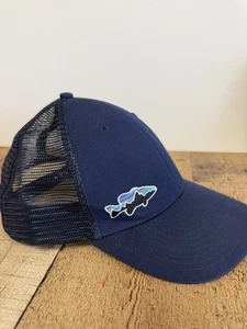 Sombrero Patagonia Logo Camionero SnapBack Gorra Malla Azul - Imagen 1 de 5