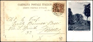 Colonie Eritrea - 2 cent soprastampato (13) isolato su cartolina del 14.5.1901 - Picture 1 of 1