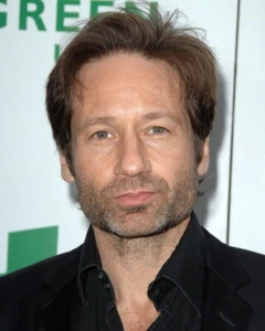 76721 David Duchovny Foto Wanddruck Poster USA - Bild 1 von 7