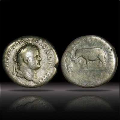 Tito AR Denario Elefante Coliseo Roma AD 80 RIC II 115 VF Foto 1 de 4