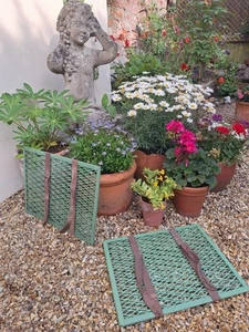 2 Vintage Botanist Garden Shop Daffodil Flower Press Wire Carry Cages FREE P&P - Picture 1 of 5