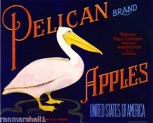 Yakima Washington State Pelican Bird Apple Fruit Crate Label Art Print - Picture 1 of 1