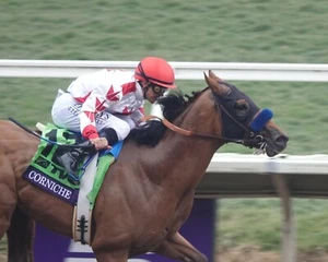 COLOR PIC CORNICHE Breeders Cup Juvenile Winner #2  - Picture 1 of 1