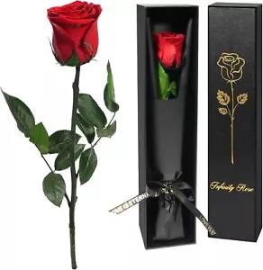 Yamonic Preserved Flowers Rose Gifts for Women Mom,Mothers Day Rose Flower Gifts - Picture 1 of 9