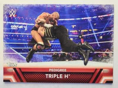 2017 Topps WWE Then Now Forever #F-9 TRIPLE H FINISHERS & SIGNATURE MOVES - Image 1 of 2