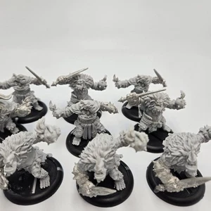 Northkin Raiders [x10] Trollbloods [Hordes] Assembled - Picture 1 of 4