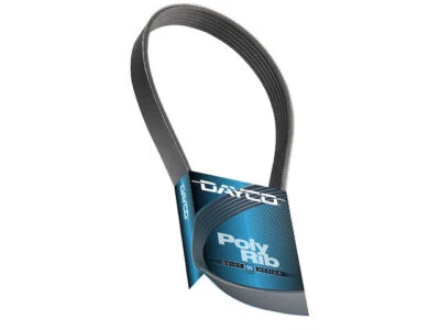 Cinturón primario Dayco 71257HDDC 2006 2007 2008 multi costilla Chrysler 300 2005-2011 Foto 1 de 2