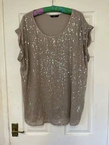 Evans Beige Sequin Sparkle Short Sleeve Top Size 24 - Picture 1 of 4