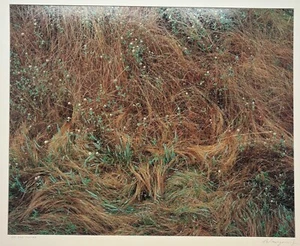Original JOHN WAWRZONEK 'Rye & Clover' Grass Cover Signed Artist Proof PHOTO - Picture 1 of 15