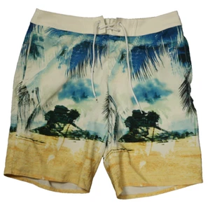 American Eagle Outfitters Board Shorts Swim Bottoms *Marks on Waistband* M 34x9 - Picture 1 of 20