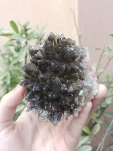 210g Natural Dog Tooth Calcite Crystal Mineral Specimen With Dark Grey Coating - Picture 1 of 18
