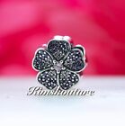 Authentic Charm Sparkling Primrose Sterling Silver Bead 791481PCZ