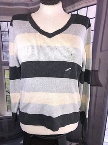 Karen Scott L NWT Sweater V Neck Ribbed Wide Stripe Gray Neutral 2X2 🧡 - Picture 1 of 10