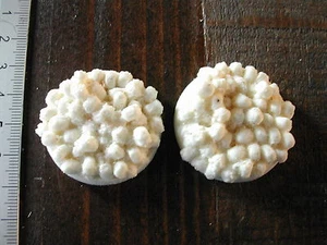 2x SOCLES/BASES 40MM RESINE SKULLS/ CRANES (W40K... etc) M103 - Imagen 1 de 1