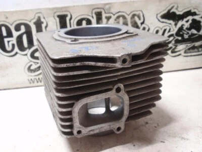 Kawasaki Drifter 440 Snowmobile Engine Chrome Mag Cylinder John Deere Sportfire - Image 1 of 4