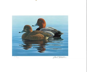 MINNESOTA #6 1982 STATE DUCK STAMP PRINT REDHEADS  by Phil Scholer List $200 - Picture 1 of 2