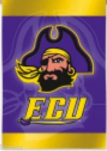 EVERGREEN EASTERN CAROLINA STATE SILK REFLECTION LARGE FLAG free shipping - Picture 1 of 1