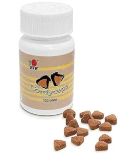 DXN Cordyceps 120 (300 mg) Tabletten Cordyceps Sinensis Steigerung der Immunität Ausdauer - Bild 1 von 7
