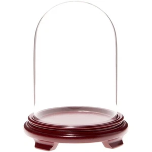Plymor 5,5 Zoll x 8 Zoll Glas Display Kuppel Glocke (rotes Holz Furnier Fußsockel) - Bild 1 von 1