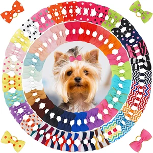 100PCS Cute Pet Grooming Accessories - Colored Polka Dot Hair Bows with Rubber B - Picture 1 of 7
