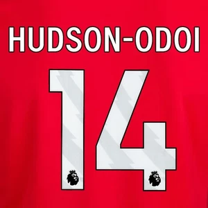 2024 2025 OFICIAL NOTTINGHAM HUDSON ODOI 14 BLANCO JUGADOR LOCAL TALLA NOMBRE CONJUNTO - Imagen 1 de 1