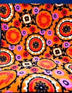 The Northwest Company Soft Fleece Throw Blanket Vibrant Colors 60x48 - Picture 1 of 5
