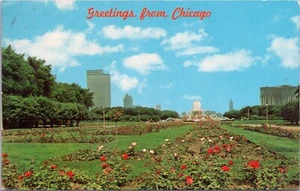 Postal años 60 Chicago Rose Graden Grant Park Illinois cromo #D9 - Imagen 1 de 2